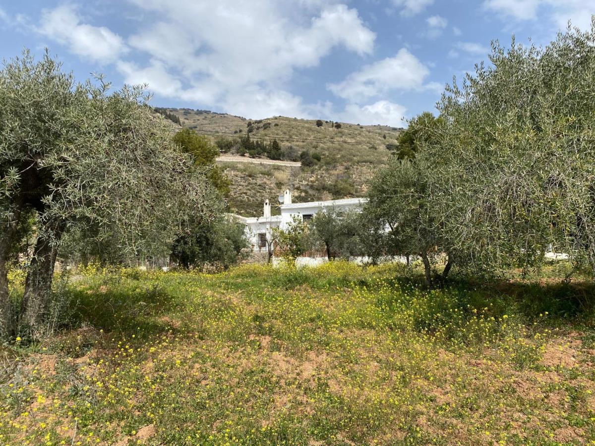 Finca Las Fuentezuelas Carataunas Екстериор снимка